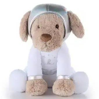 Jude — the space dog